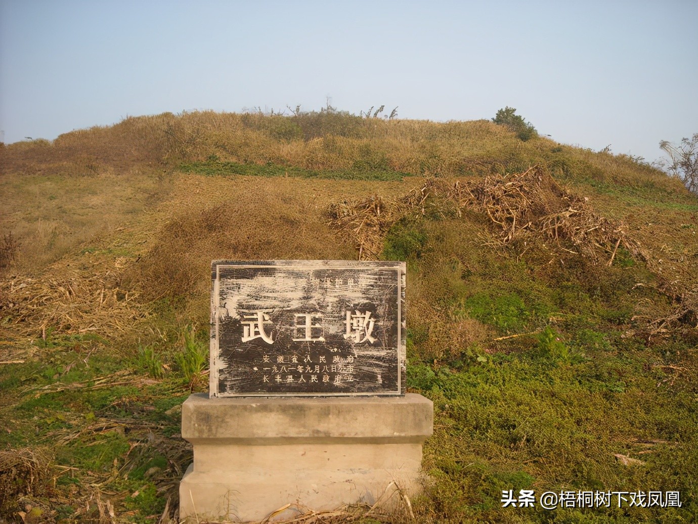 从盗猎者手里买动物放生,从盗墓者手中抢出的国宝玉器