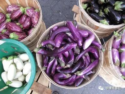 菲律宾青菜价格表,菲律宾蔬菜为什么那么贵