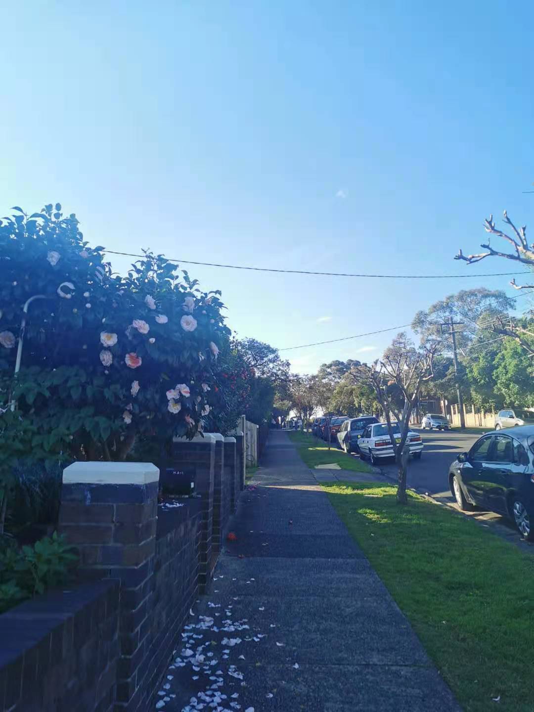 悉尼一年的生活成本,悉尼一年四季穿什么