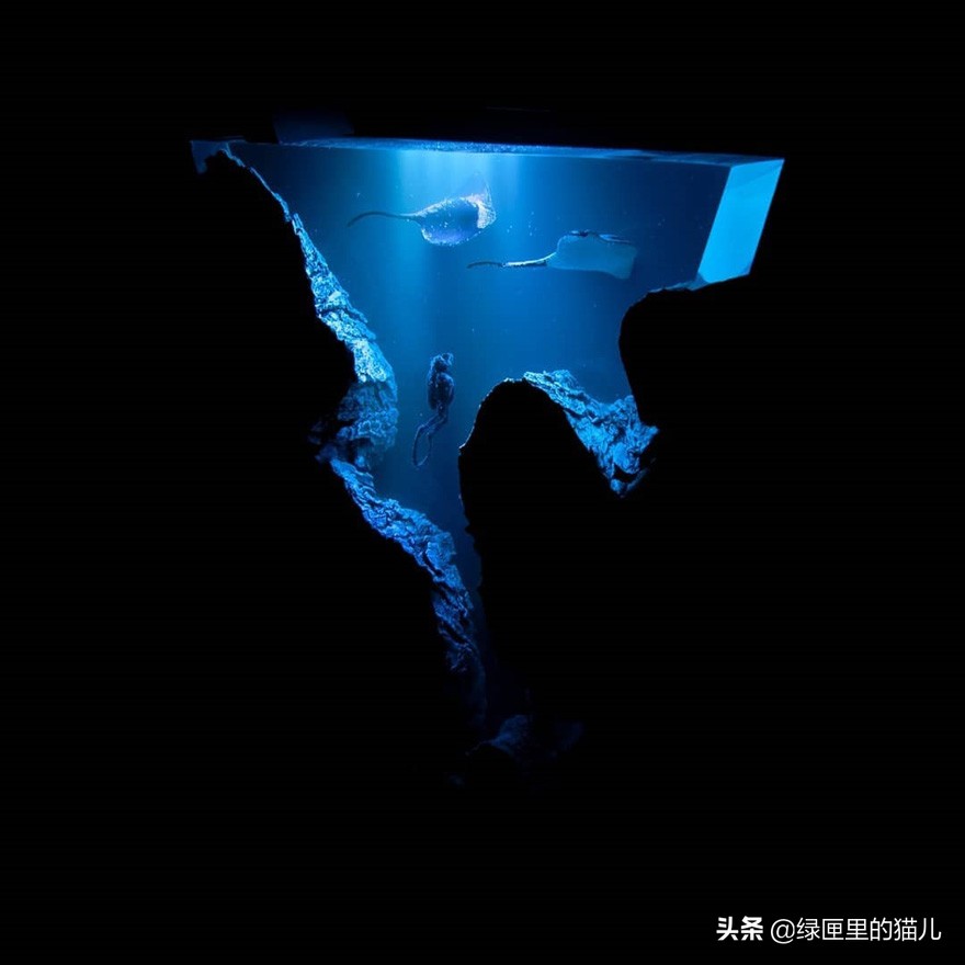 灵感来源于落日霓虹灯,灵感来自大自然宝石