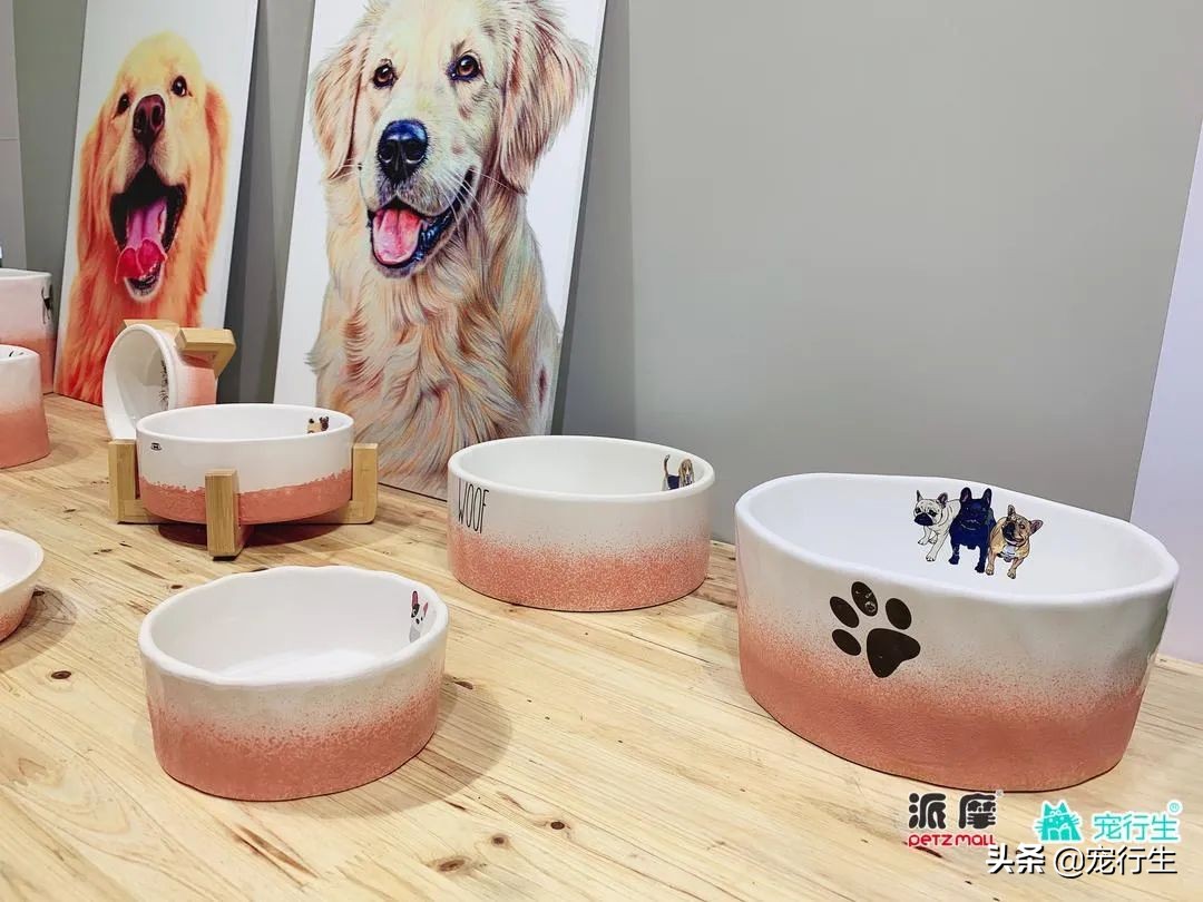 2020CIPS宠物展于广州开展，一大波萌物正在靠近