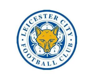 足球感人瞬间故事,足球催泪故事