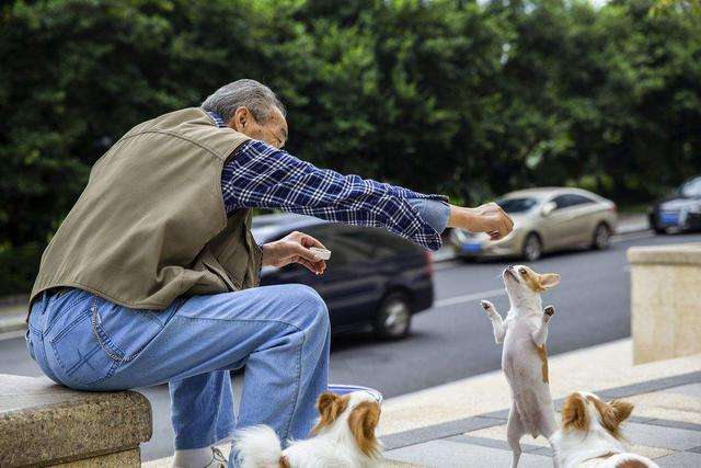 他与妻子曾是“丁克族”，不料妻子意外怀孕后，今甘愿沦为女儿奴