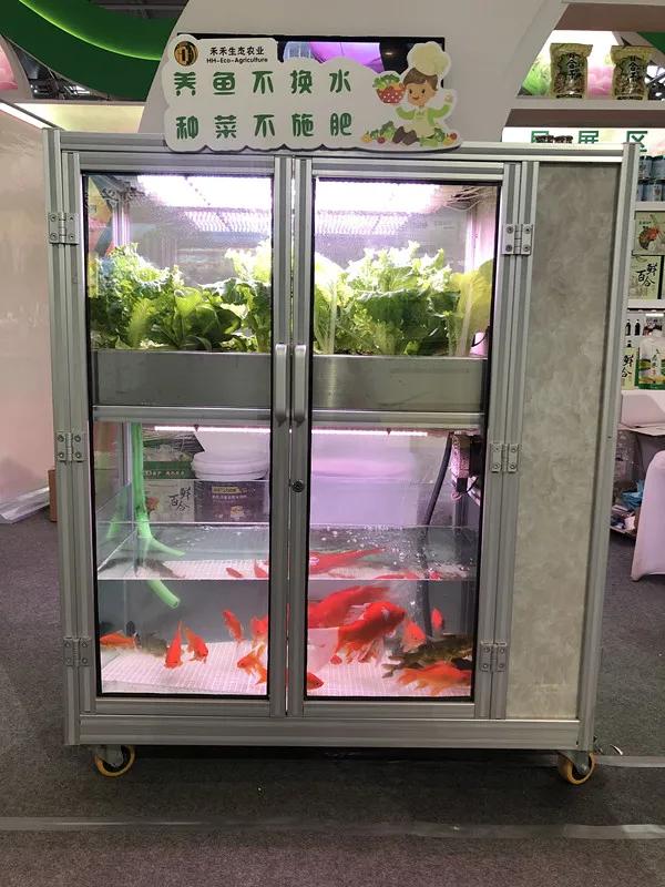 合肥农交会2023,合肥农交会的东西怎么样