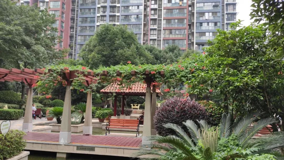 是谁给你的勇气原版视频,是谁给你的勇气歌曲