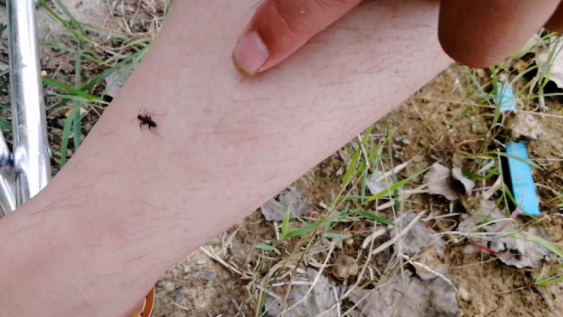 天气转凉大河野钓,天气炎热钓浅滩