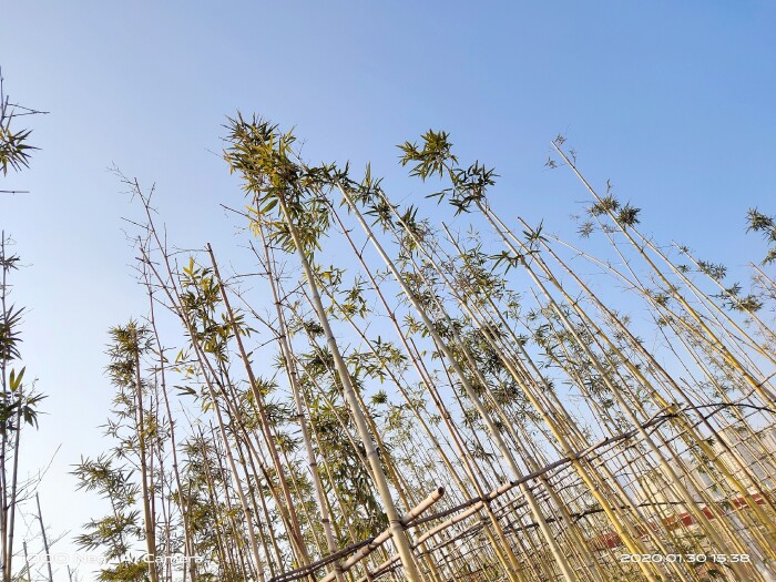 iqooneo855打王者有哪些功能,iqooneo855和竞速版的区别在哪