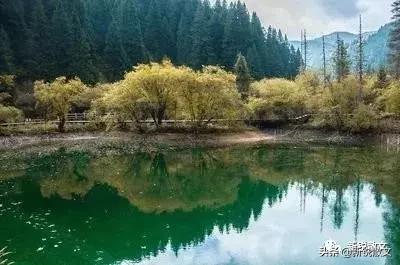 九寨黄龙避坑指南,九寨黄龙风景区旅游攻略