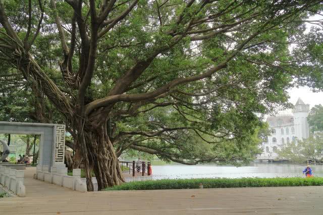 广州像白宫一样的建筑,广州像白宫的建筑夜景