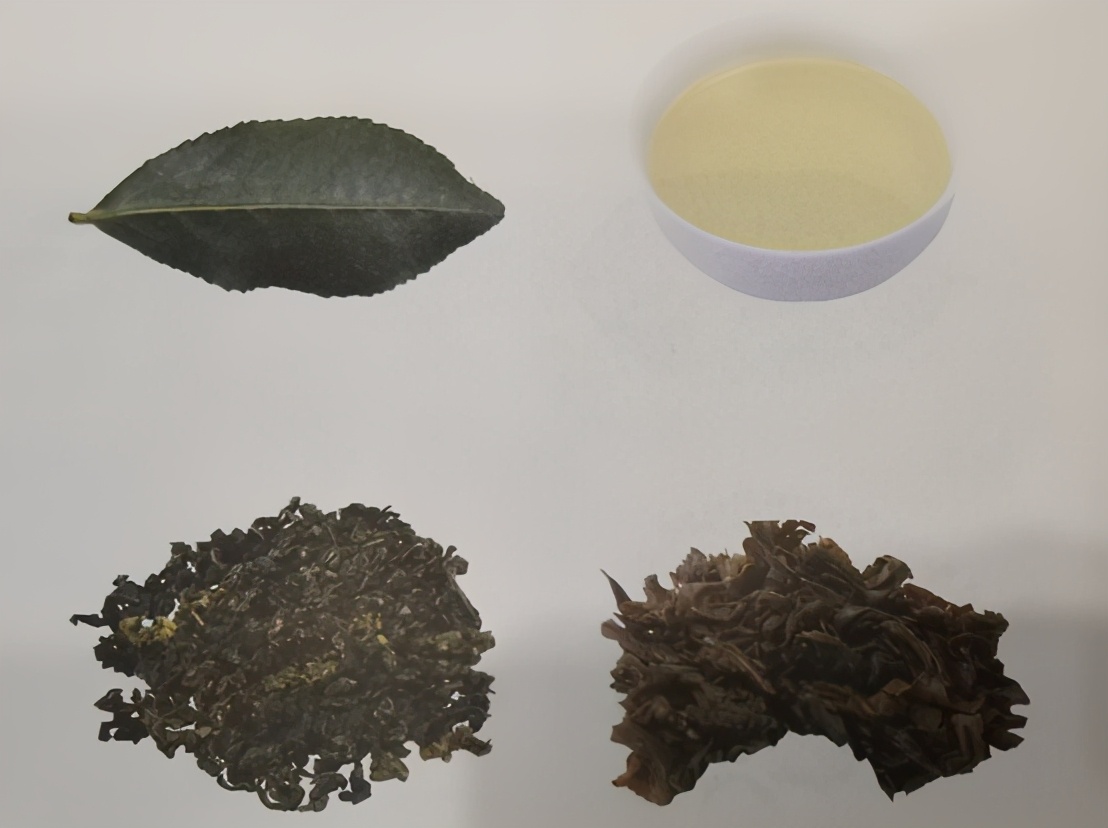 安溪铁观音有几个品种,安溪茶有什么品种