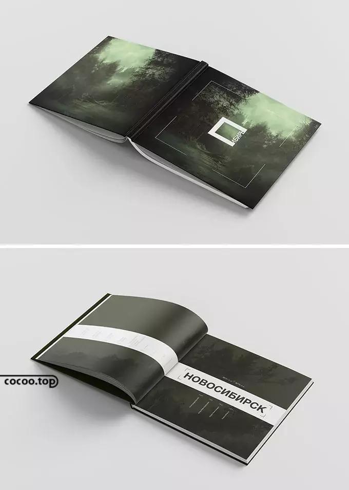 设计宣传册如何统一风格,宣传册设计美学因素