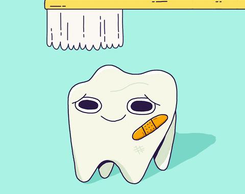 牙齿卫生用品,牙齿清洁工具排行榜