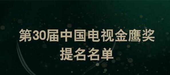 第31届电视剧金鹰奖怎么投票,第30届中国电视金鹰奖入选电视剧