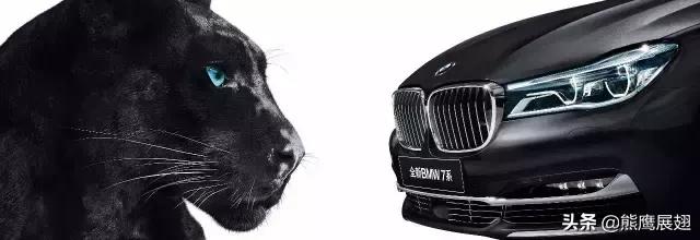 大佬奇怪的服装审美,大佬的独特审美观