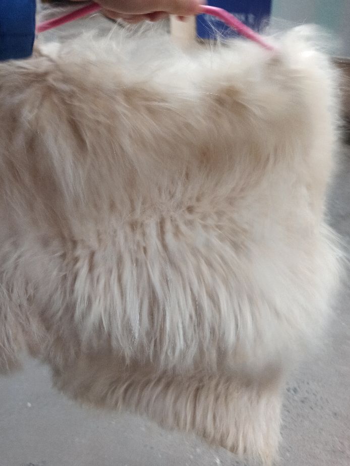 干洗皮草教程怎么洗的,干洗店都是怎么洗皮草