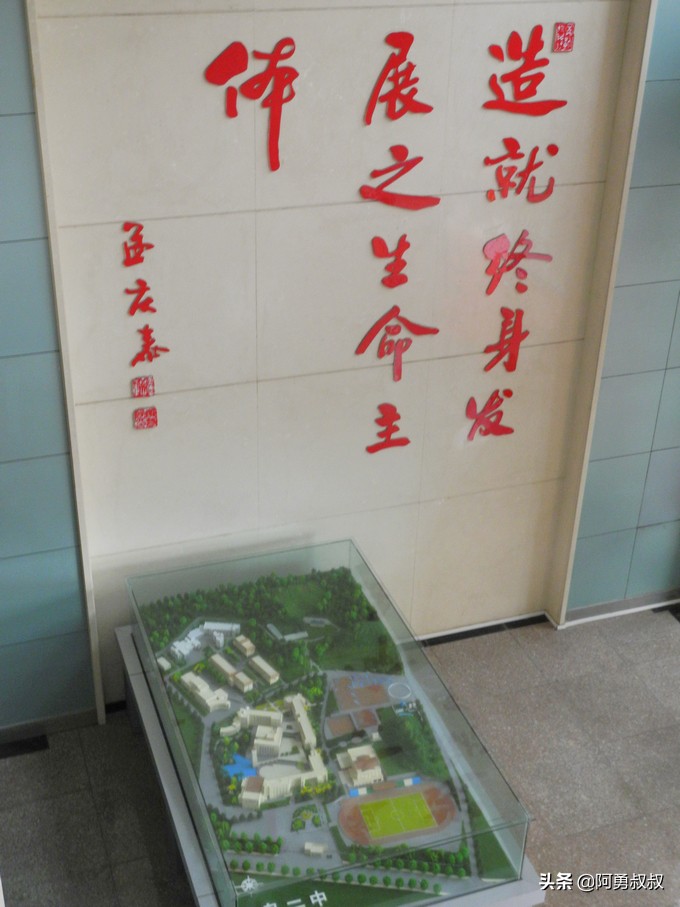 青岛二中2019高考成绩,经验分享大学专业