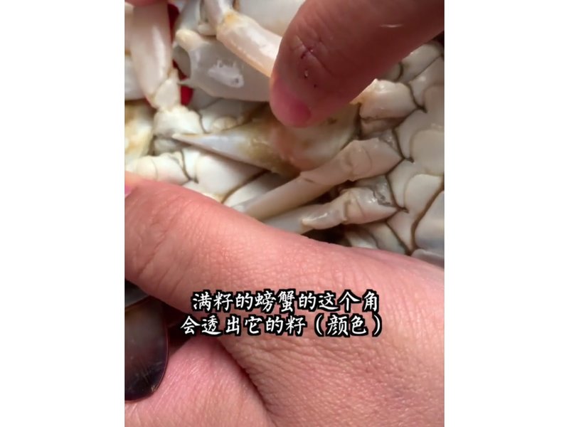 怎么区分螃蟹是否注水状态,螃蟹怎么辨别好坏