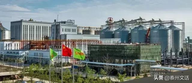 汇福粮油食品加工产业基地项目,汇福粮油集团董事长泰州