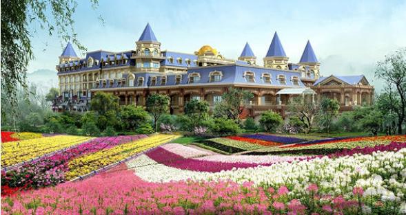 去百万葵园旅游,带小孩去百万葵园玩