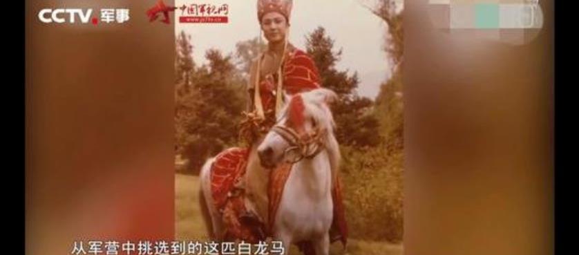 西游记里的白龙马最后惨死马棚,拍摄完西游记的白龙马有多惨