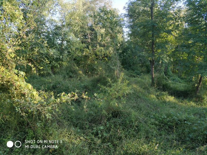 大连长兴岛长城,大连长城4s店