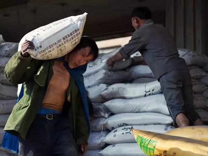 香港最美搬运工现在如何,香港最美搬运工叫什么名字