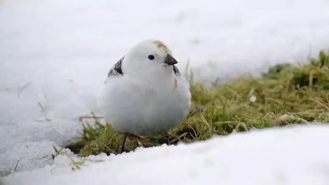 必看纪录片推荐建议收藏,推荐10部必看纪录片