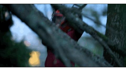 耗费十余年打造透明“自然屋”，瑞典爸爸终与自闭症儿子和解