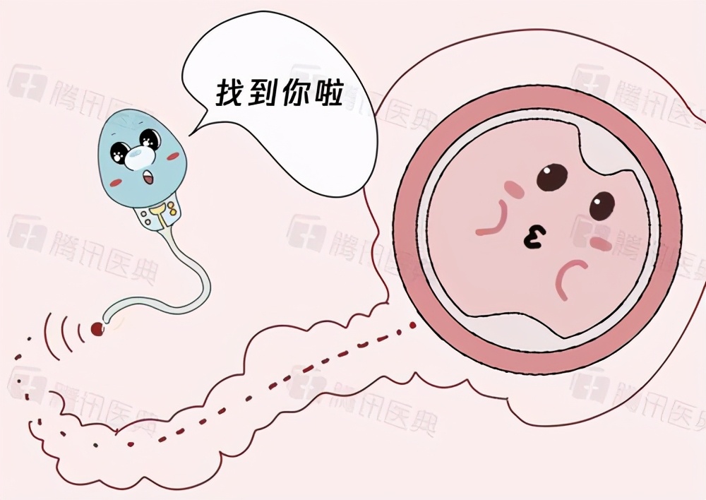 你的精液健康吗？精液品质自我检测四招？