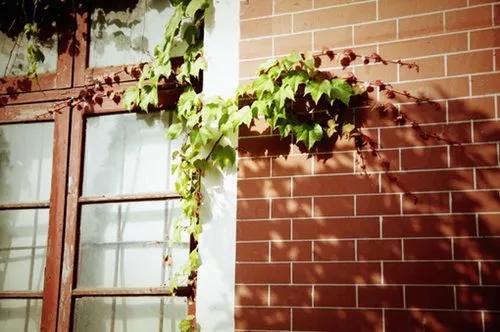 治愈出院后还需要防护吗,确诊病例治愈回家注意事项