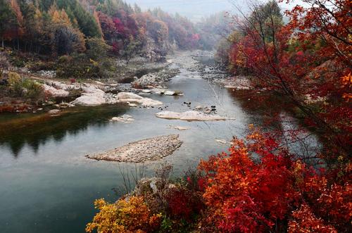 枫醉秋色叶叶红，又“为问东风吹老，几度枫江兰径，千里转平芜”