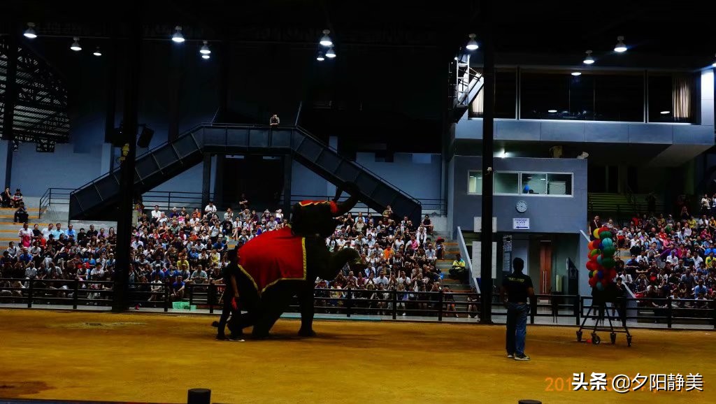 泰国芭提雅东芭乐园视频,芭提雅东芭乐园游玩攻略