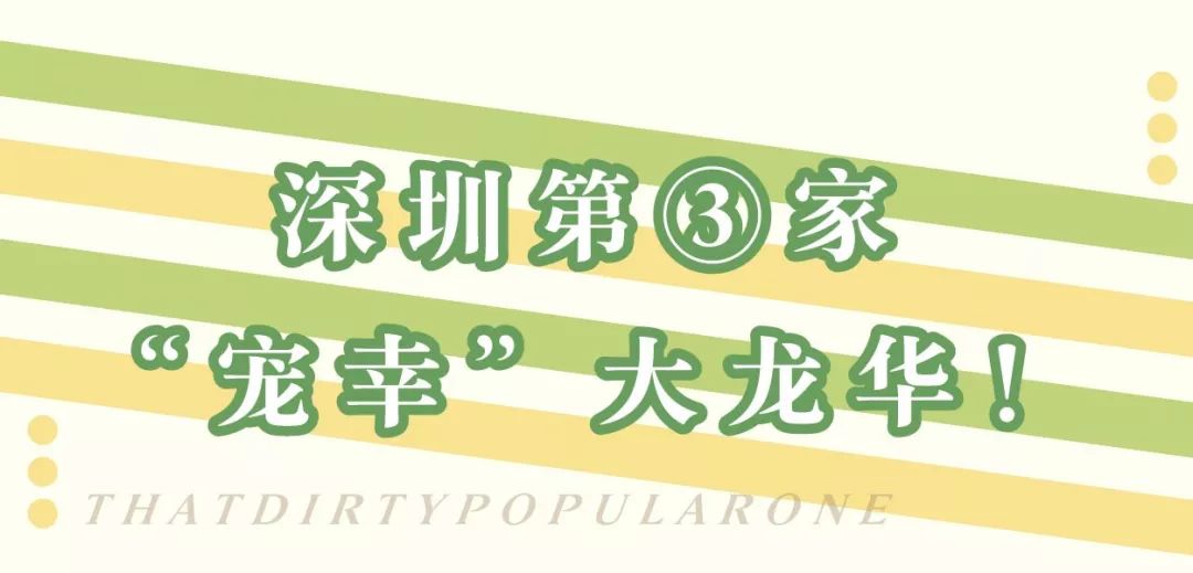 第③家!正版「鲍师傅」又双叒来了!龙华开启“排断腿”模式