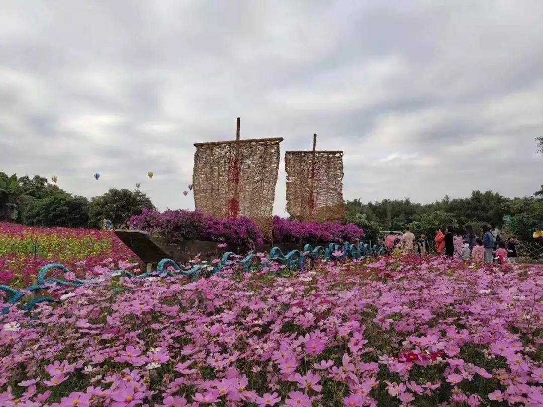 偷偷告诉你驴友们常去的从化小众特色小镇~比森林公园更美更好玩