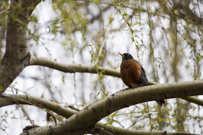 佳能80d拍视频有什么黑科技,佳能80d视频拍摄挺强大了