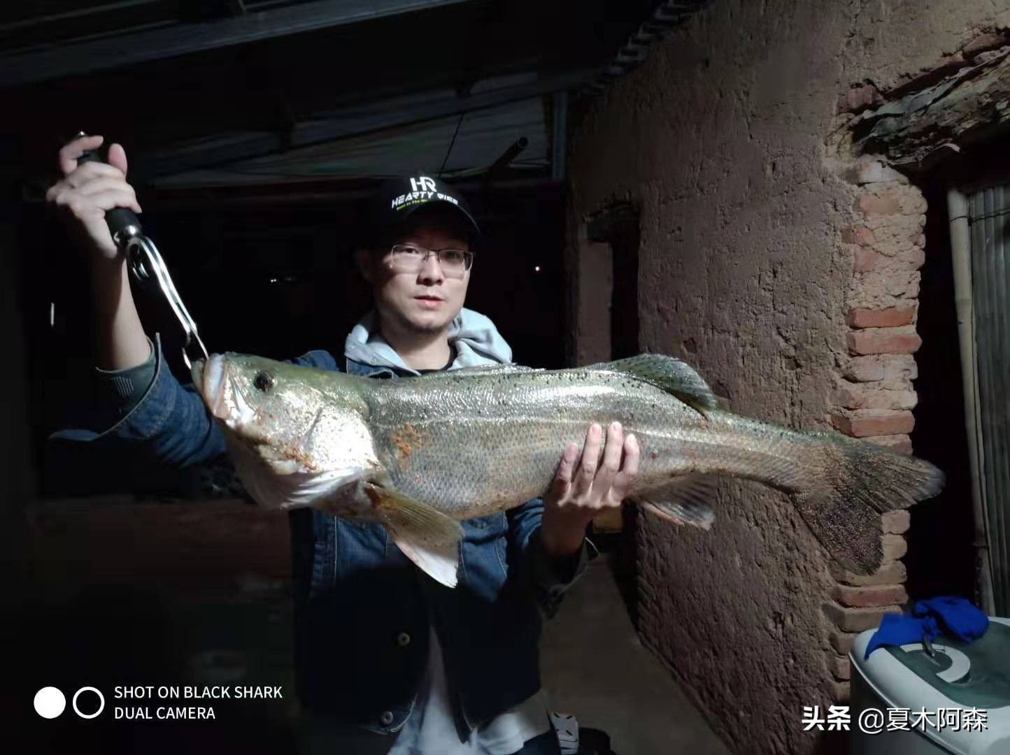 路亚饵控饵手法,掌握四种钓法