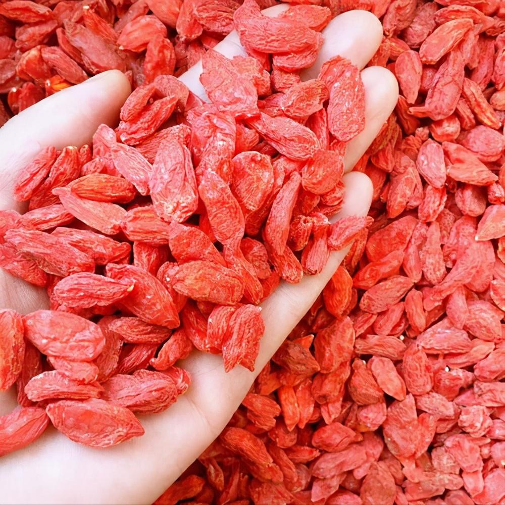 山海情演的什么,山海情宁夏