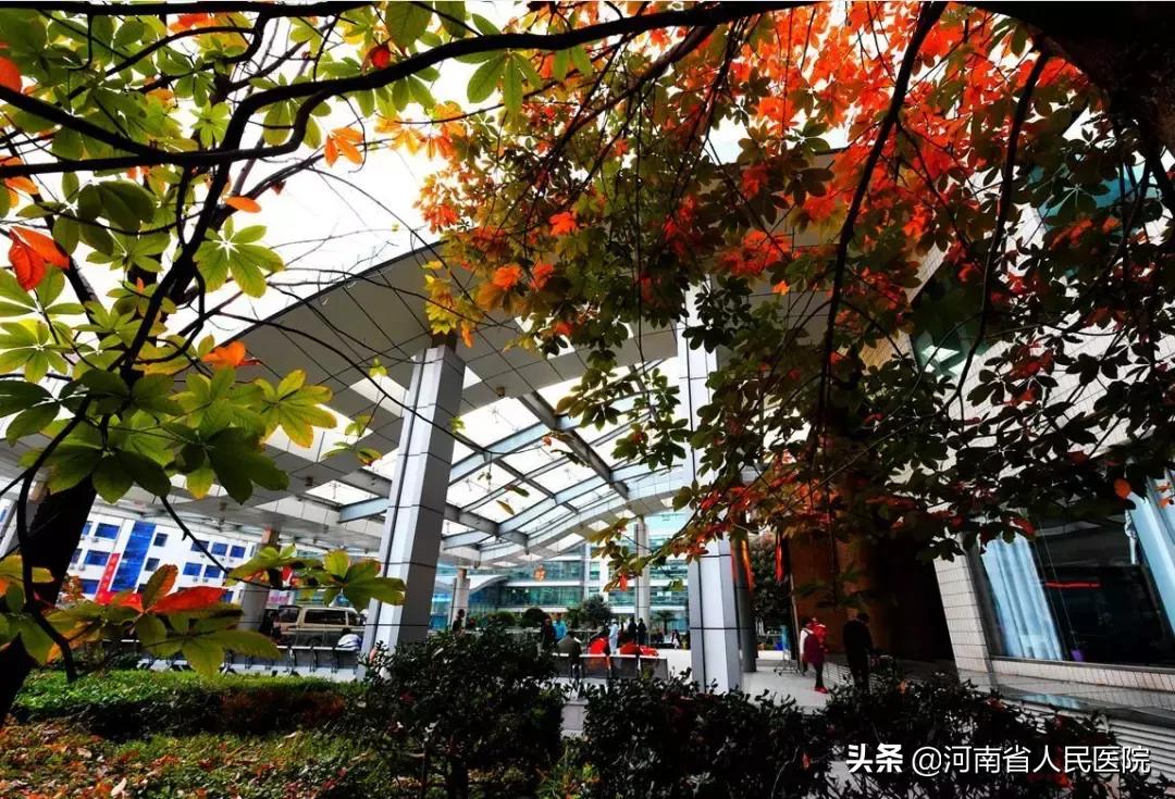 24小时，解决“肛需”烦恼