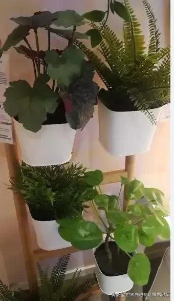 我在欧洲的商场，看到了中国低端产业的真相