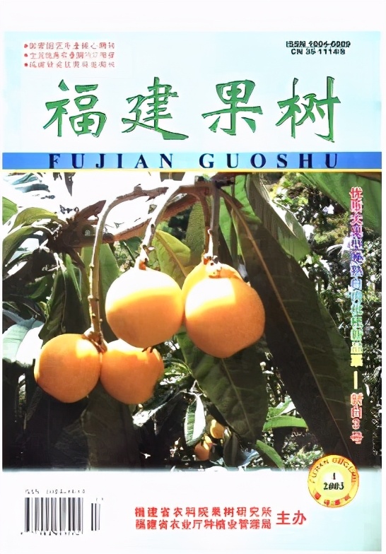 浙江高山甜桔柚,浙江绿色甜桔柚