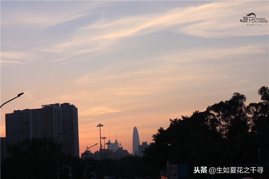 东湖公园菊花展今天还有开放吗,深圳东湖公园菊花展图片