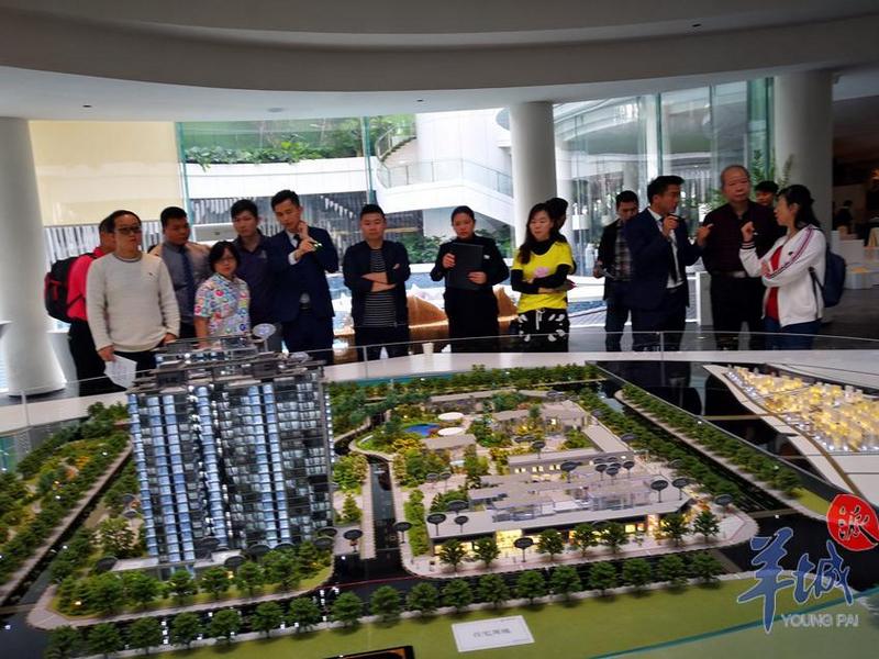 实地调查：“新政”来了，南沙楼价涨了没？