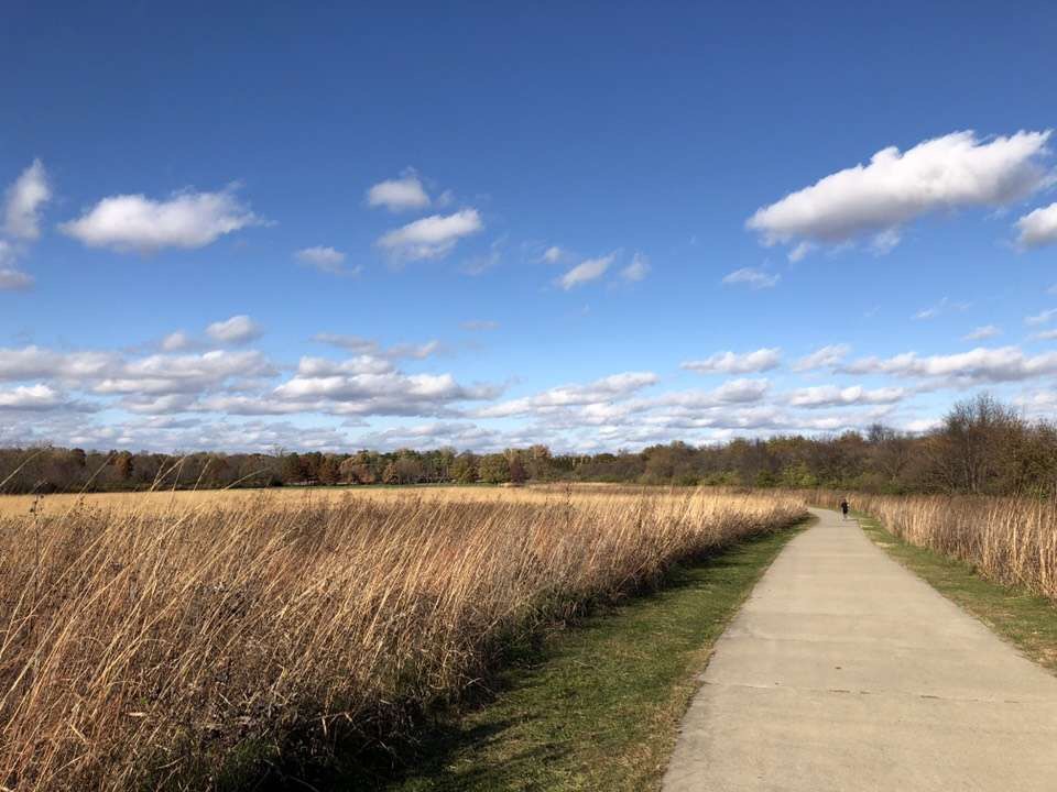 美国留学会计工作怎么样,美国留学会计专业硕士怎么样