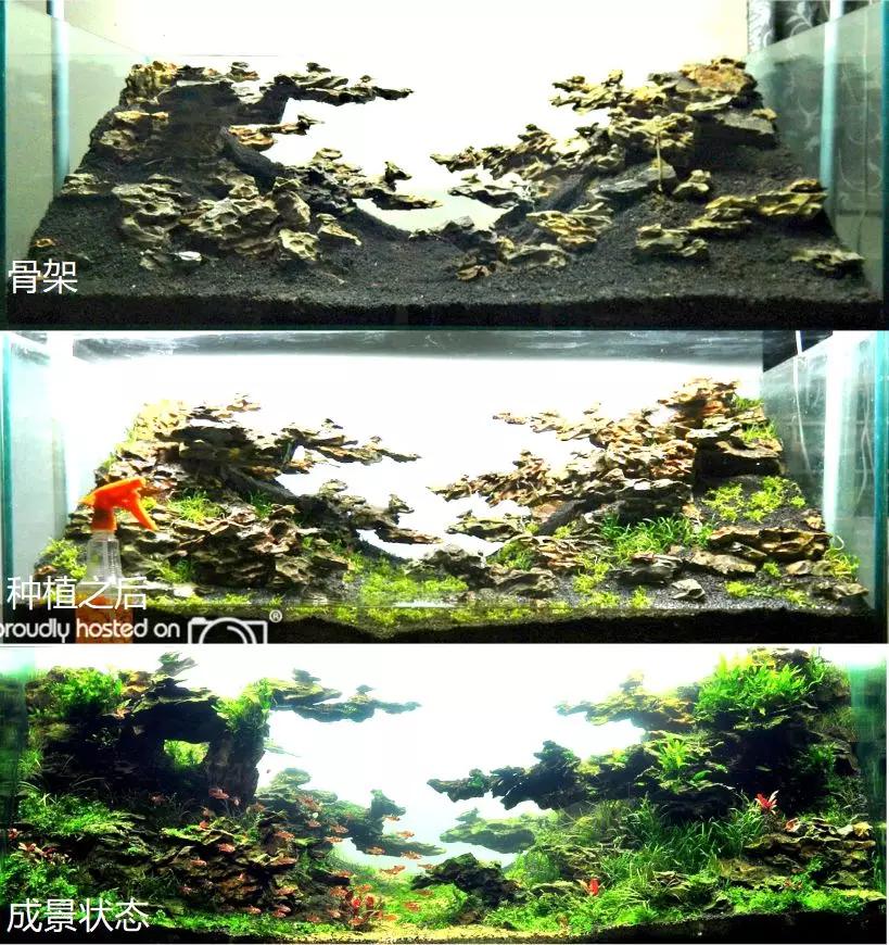 草缸造景教程:胶水造景太温柔,男人就该上电钻