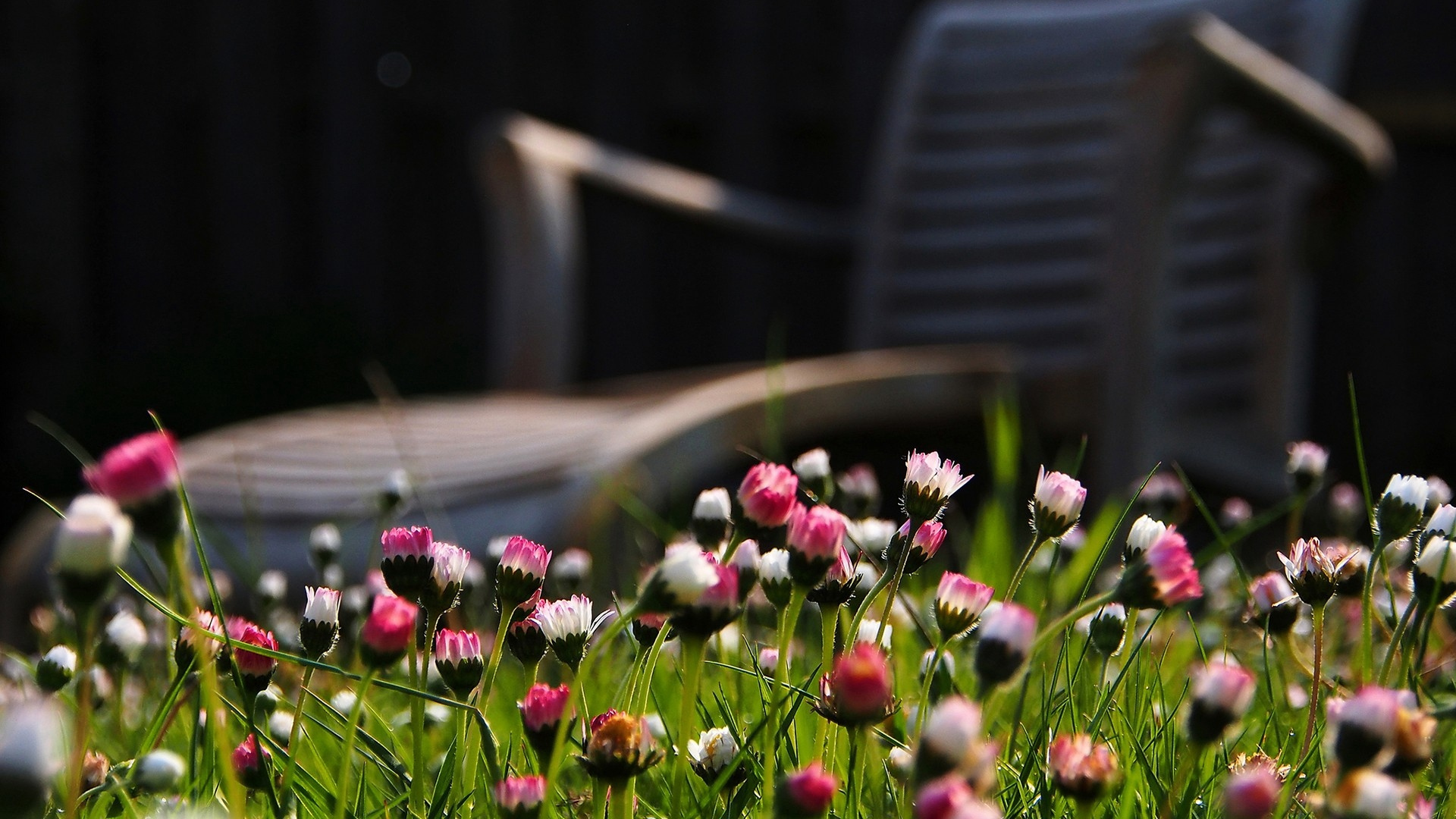 1994年10月24日天蝎座性格特点是,天蝎座2005年11月22日的性格