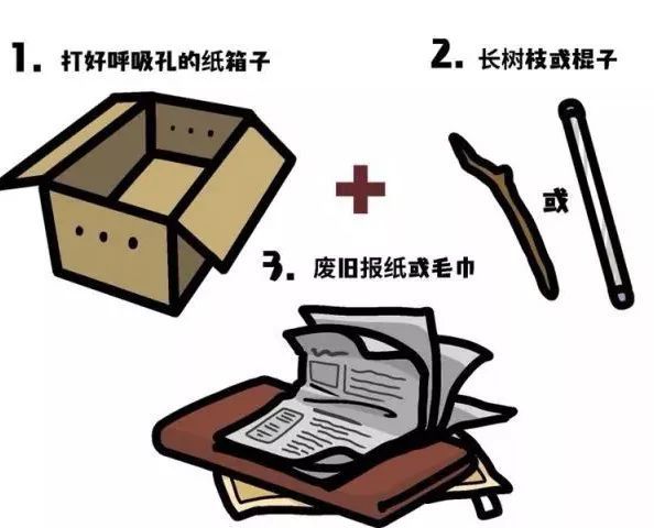 学姐来了请多关照,学妹来了学姐应该怎么办