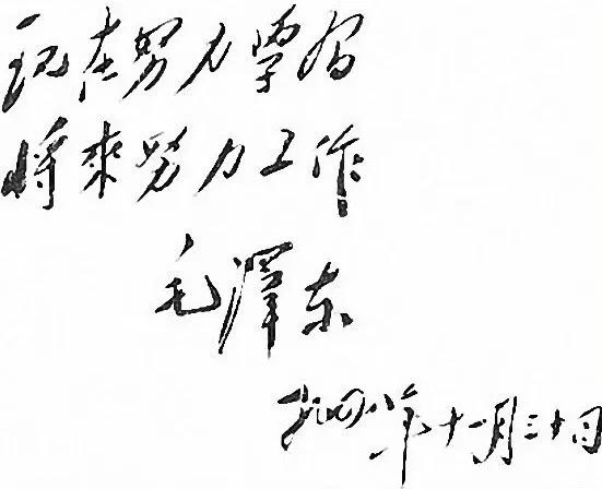 伟人智慧哲学光辉——读毛*东泽**《湖南农*运民**动考察报告》有感