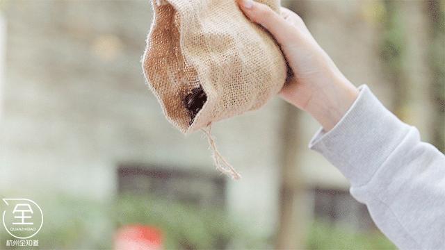 10000杯拿铁,1000杯咖啡免费喝