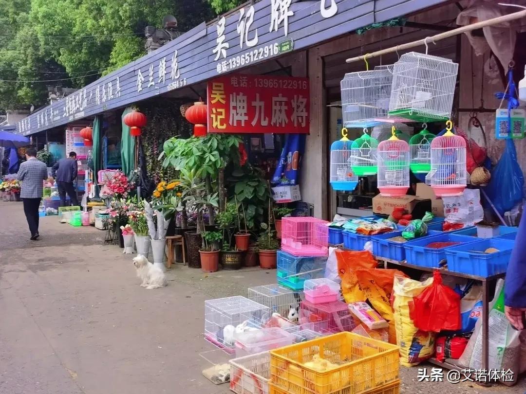 住在明光路的合肥人，太太太幸福了