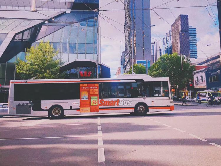 无奇不有！盘点南澳州那些小众又高薪的职业